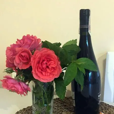 I Zacisze Lejlighed Brenna