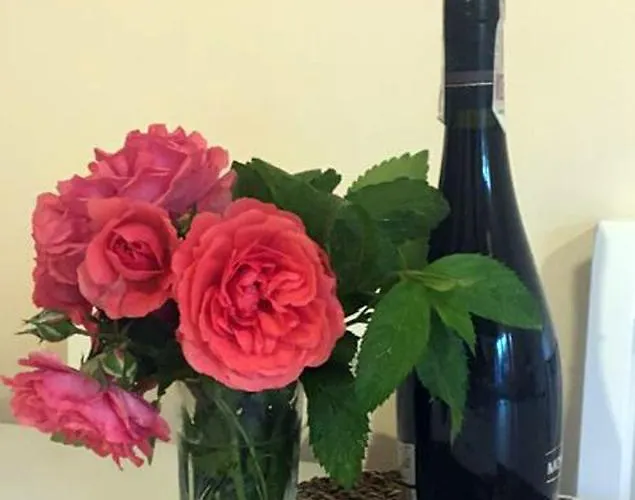 I Zacisze דירה ברנה