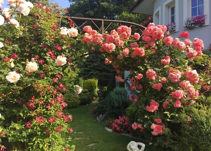 I Zacisze * ברנה